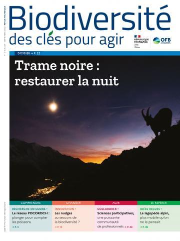 trame noir