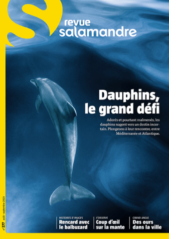 image de couverture