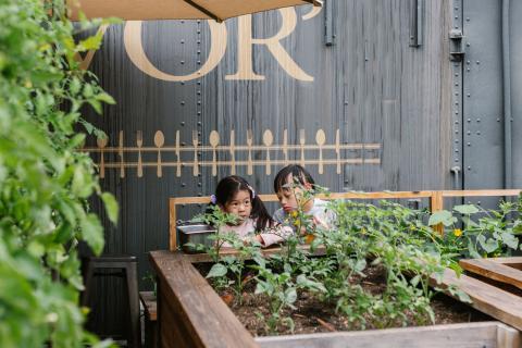 potager enfants